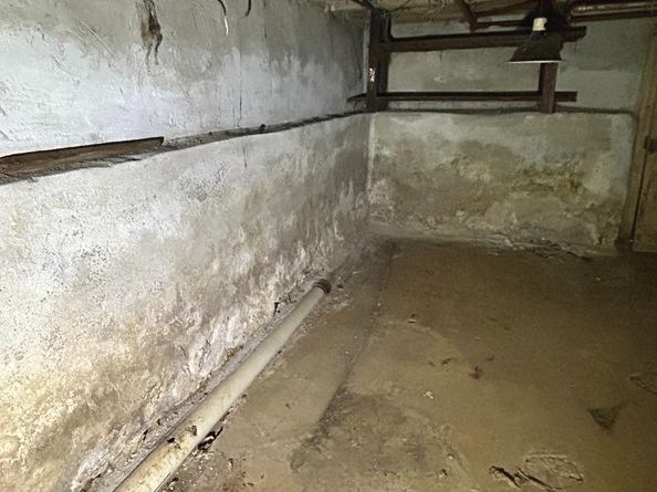 2046 Dennie Street, Philadelphia PA 19140