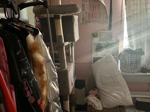 719 Beech Avenue, Glenolden PA 19036