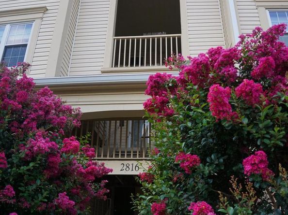 2816 Emma Lee Street 301, Falls Church VA 22042