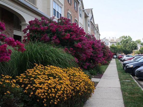 2816 Emma Lee Street 301, Falls Church VA 22042