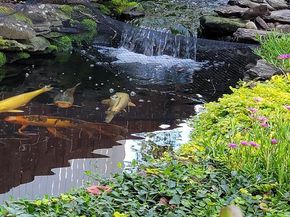 992 Sheffield Lane, Huntingdon Valley PA 19006