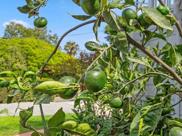 1503 Laurel Road, Oceanside CA 92054