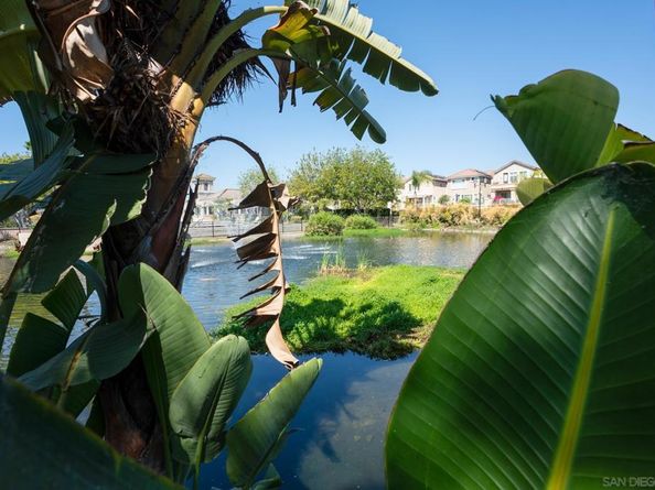 18600 Caminito Pasadero, San Diego CA 92128
