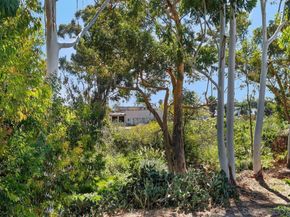 4647 Pico Street 205, San Diego CA 92109