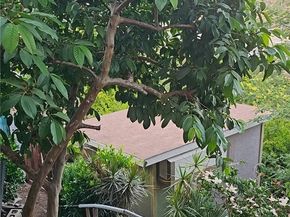 3414 Amethyst Street, Los Angeles CA 90032