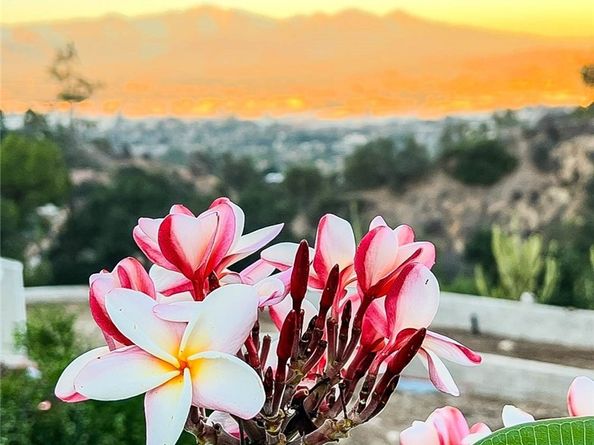 2935 Athel Drive, Hacienda Heights CA 91745
