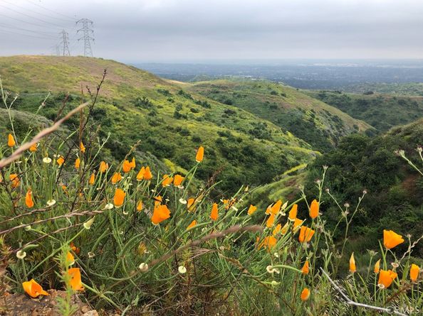 6769 Hillside, Whittier CA 90602