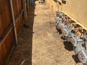 323 N Rose Street 6, Anaheim CA 92805