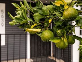 5639 Ash Street, Los Angeles CA 90042