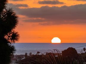 1199 Tamarack Ave, Carlsbad CA 92008