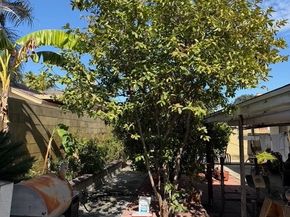 1163 Cloverglen Drive, La Puente CA 91744