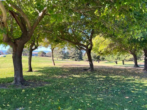 23920 Mayville Dr, Hayward CA 94541