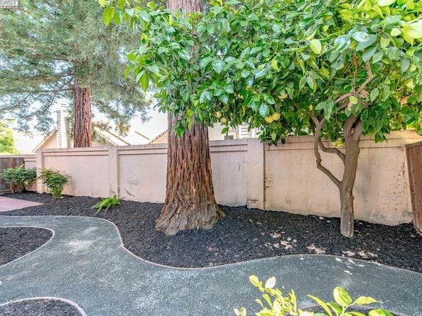 243 Rachael Pl, Pleasanton CA 94566