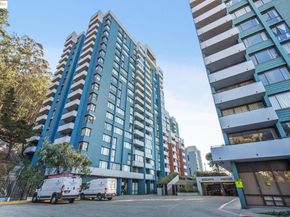 555 Pierce St 203, Albany CA 94706