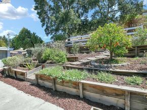 323 El Pintado Heights Dr, Danville CA 94526