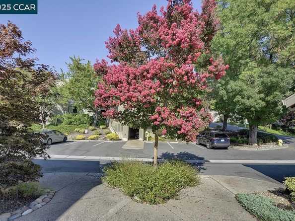 600 Terra California Dr 4, Walnut Creek CA 94595