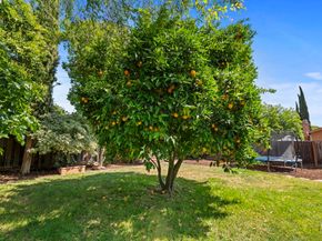 771 Hagemann Dr, Livermore CA 94551