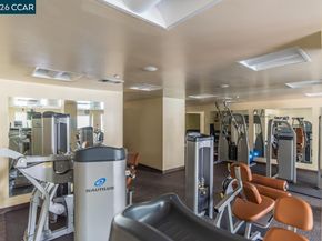 1655 N California Blvd 156, Walnut Creek CA 94596