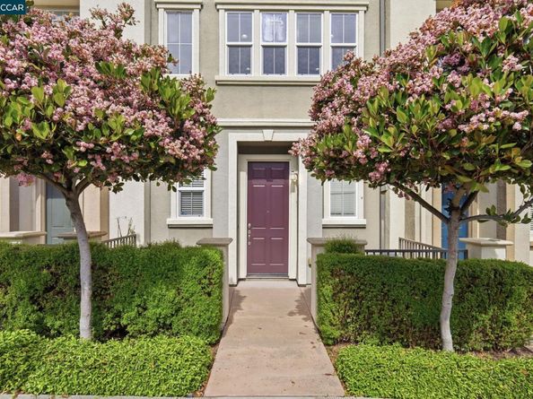 252 Sullivan Way, Hayward CA 94541
