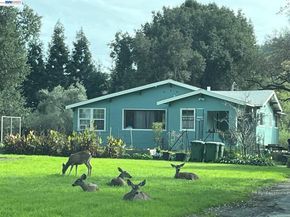 401 Pine Creek Road, Walnut Creek CA 94598