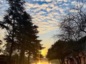 35415 Blackburn Dr, Newark CA 94560