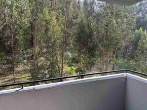 555 Pierce St 1030, Albany CA 94706