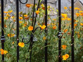 10353 Royal Oak Rd, Oakland CA 94605