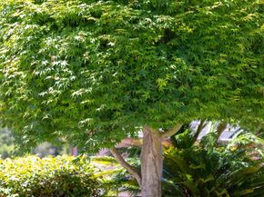 10353 Royal Oak Rd, Oakland CA 94605