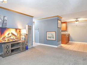 1699 Laguna Street 311, Concord CA 94520