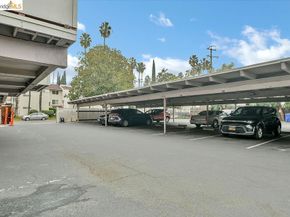 1699 Laguna Street 311, Concord CA 94520