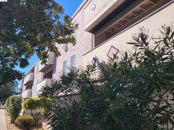 1699 Laguna Street 311, Concord CA 94520