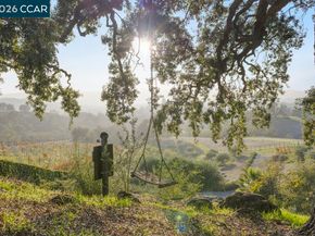 10 Serenity Ln, Alamo CA 94507