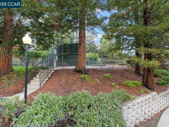 206 Buena Vida Ct, Martinez CA 94553