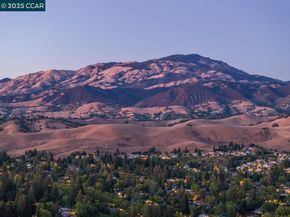 209 Farm Hill Ct, Danville CA 94526