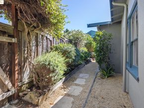 815 Spruce St, Berkeley CA 94707