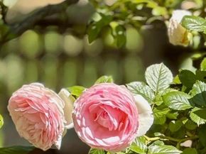 130 Arundel Dr, Hayward CA 94542