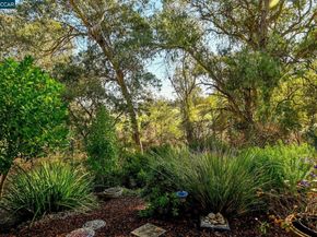 1566 Ashwood Dr, Martinez CA 94553