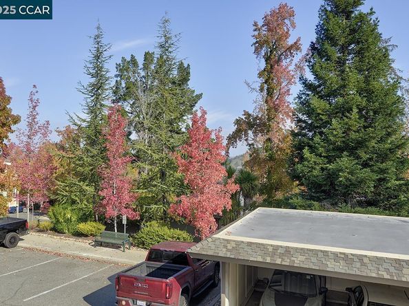 1209 Running Springs Rd 6, Walnut Creek CA 94595