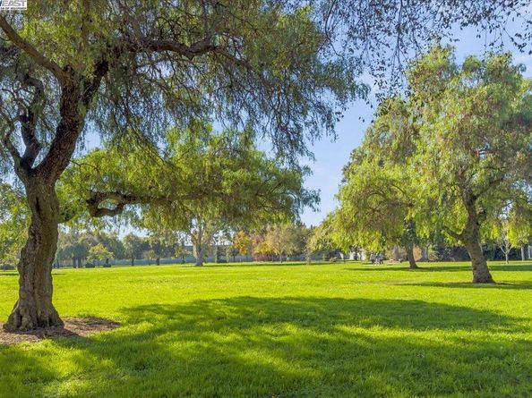 5656 Snowflake Cmn, Fremont CA 94538