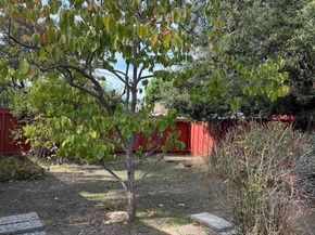 1735 David Ave, Concord CA 94518