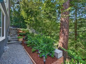 79 California Ave, Orinda CA 94563