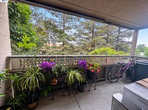 29599 Vanderbilt St 204, Hayward CA 94544