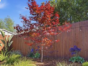 1712 Schiller St, Alameda CA 94501
