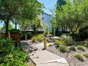1201 Alta Vista Dr 206, Walnut Creek CA 94596