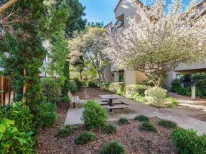 1201 Alta Vista Dr 206, Walnut Creek CA 94596