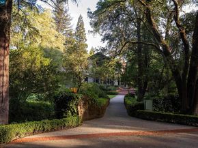 300 Camille Ave, Alamo CA 94507