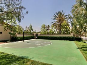 9 Petaluma, Irvine CA 92602