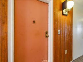 1119 Albany Street 226, Los Angeles CA 90015