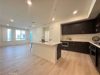 2536 Nolita