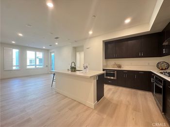 2536 Nolita